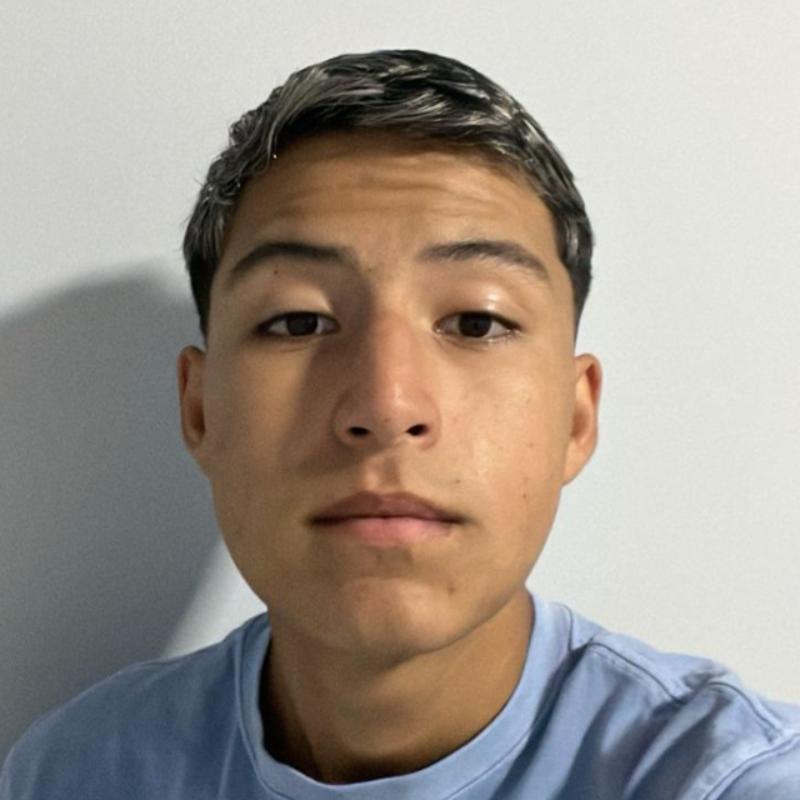 User Image