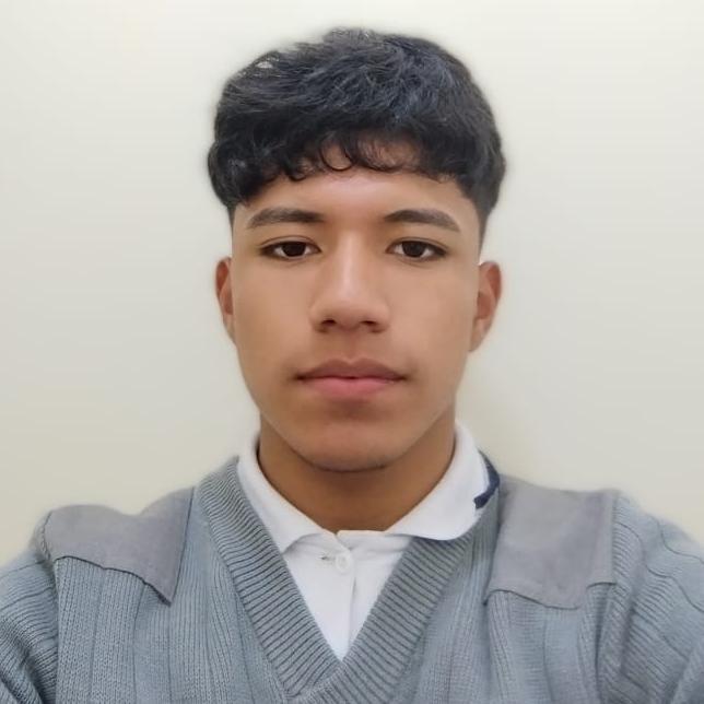 User Image