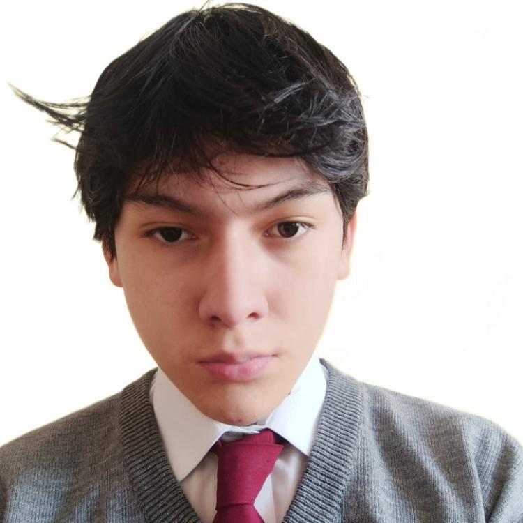 User Image
